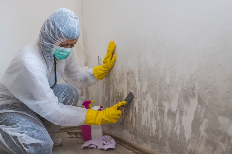 Ceiling Mold Removal in Broward County, FL