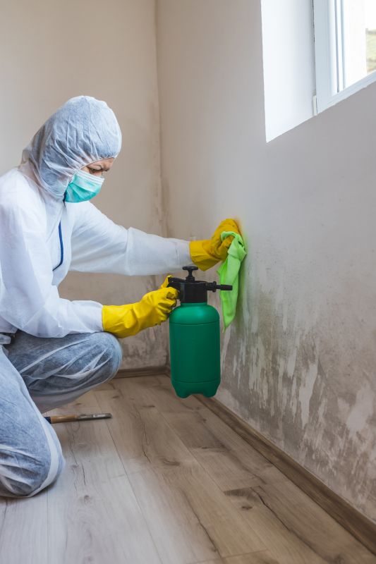 Mold Cleanup Service in Bergen County, NJ