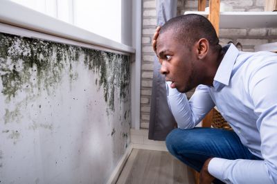 Mold Control in Arlington, TX