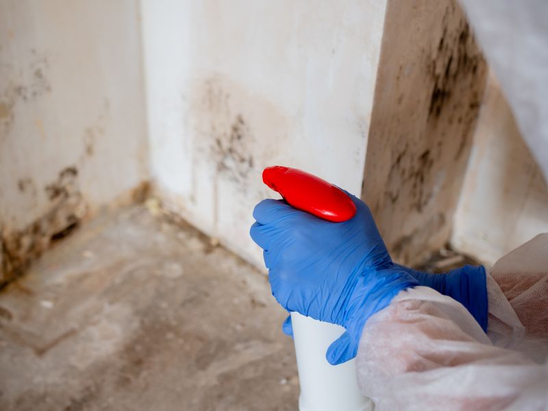 Mold Mitigation Service in Fort Lauderdale, FL