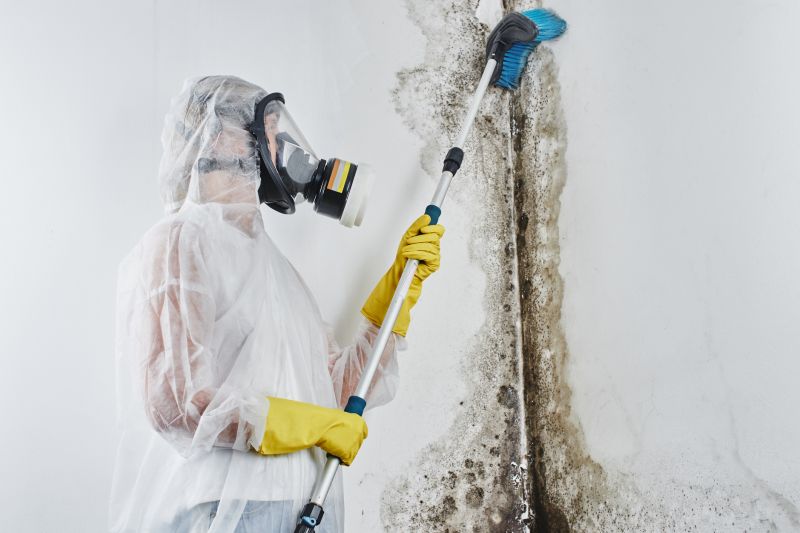 Mold Remediation Service in Broward County, FL