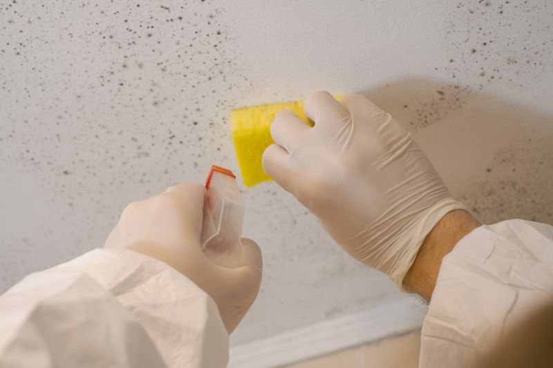 Mold Restoration in Fort Worth, TX