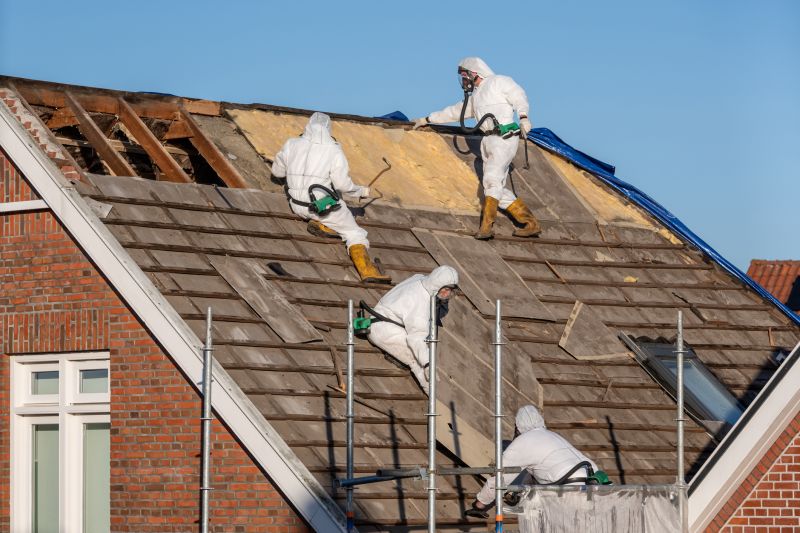 Asbestos Removal Team
