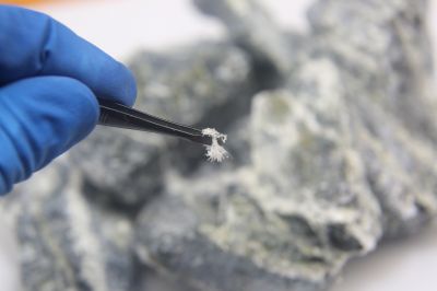 Asbestos Service in Bergen County, NJ