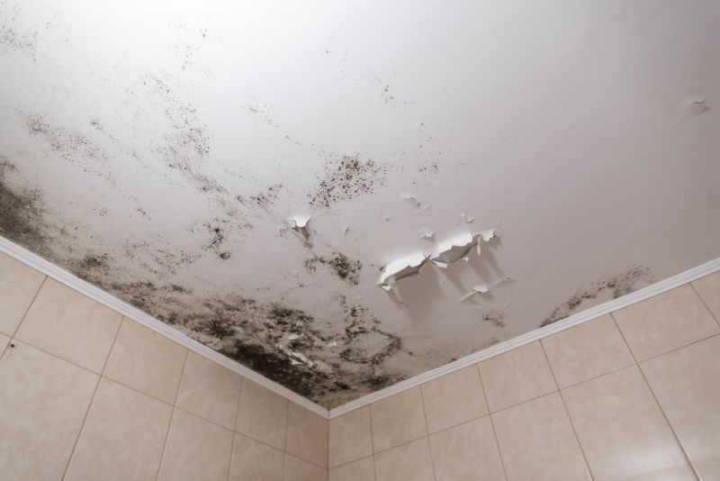 Attic Mold Removal in Fort Worth, TX