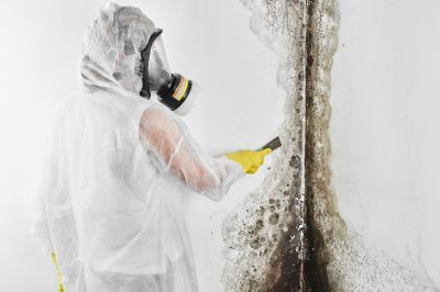 Black Mold Removal in West Palm Beach, FL