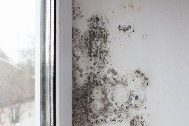 Ceiling Mold Removal in Dallas, TX
