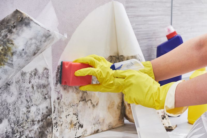 Garage Mold Remediation in Boca Raton, FL