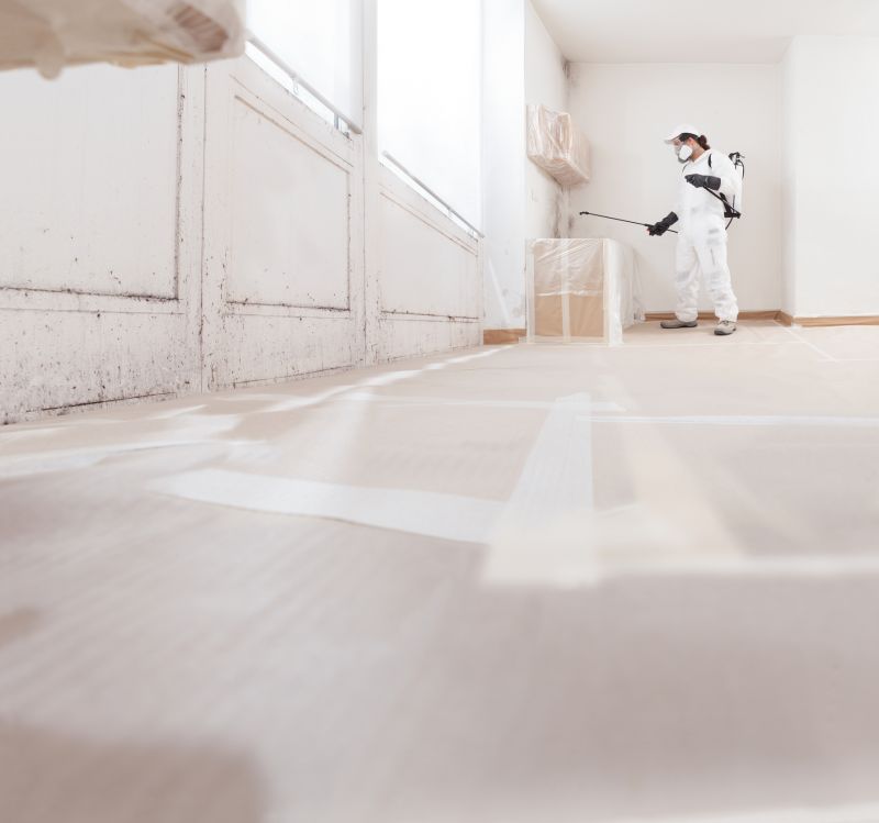 Garage Mold Remediation in Frisco, TX