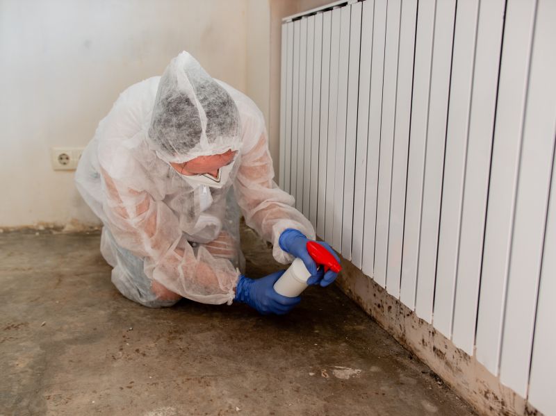 Mold Abatement Service in Dallas, TX