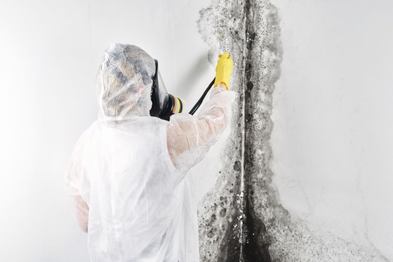 Mold Abatement Service in Broward County, FL