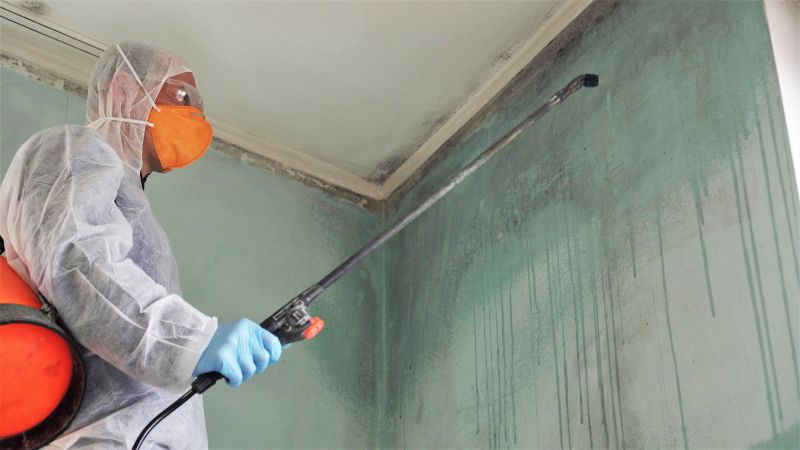 Mold Cleanup Service in Bergen County, NJ