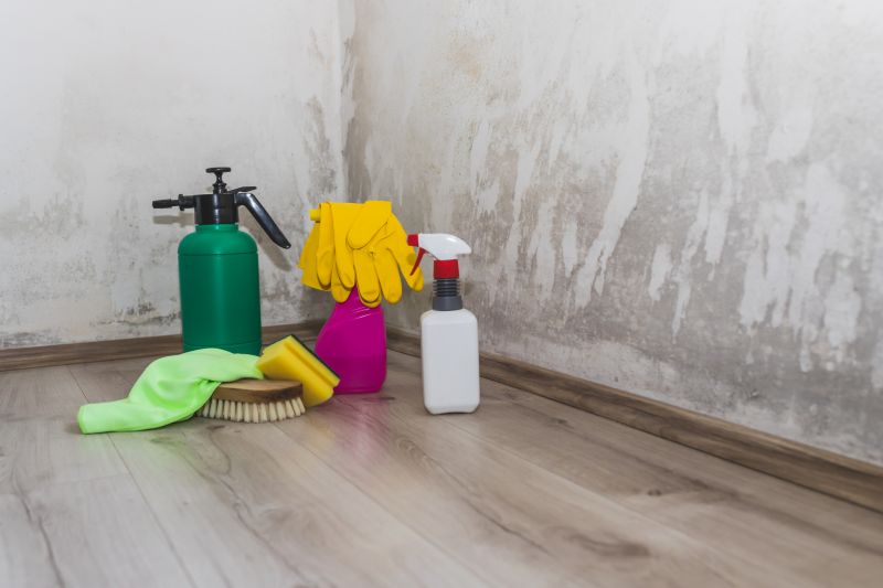 Mold Removal in Jupiter, FL