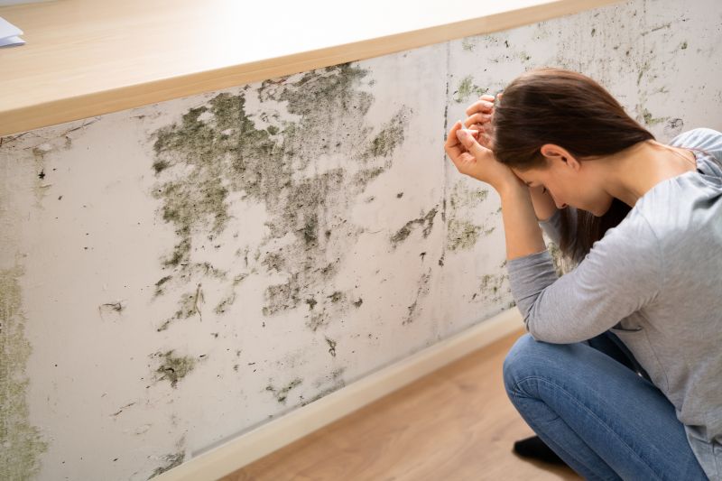 Mold Removal in Jupiter, FL
