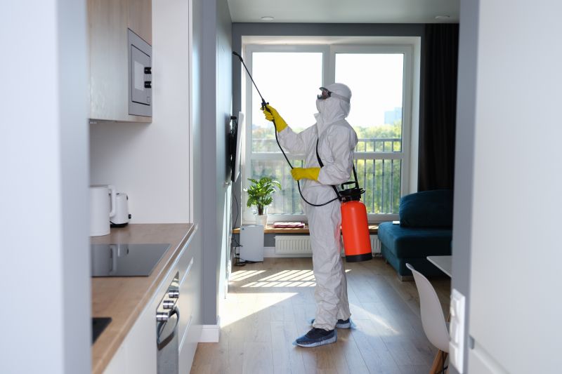 Mold Restoration in Frisco, TX